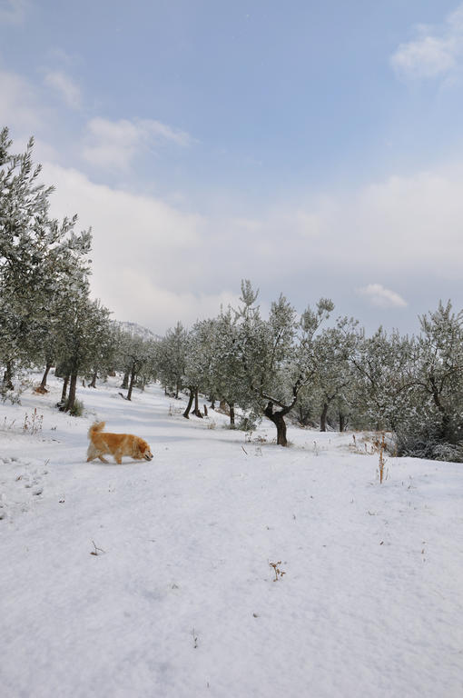 Agriturismo "Antico Frantoio" Фолиньо Экстерьер фото