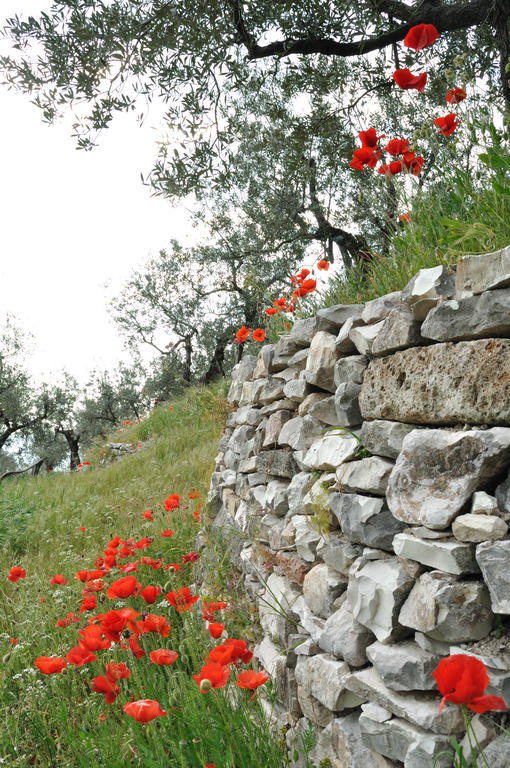 Вилла Agriturismo "Antico Frantoio" Фолиньо Экстерьер фото